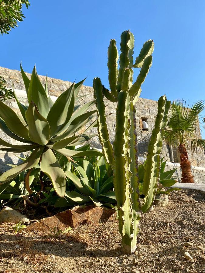 Sensus Mykonos Appartement Kalafatis Buitenkant foto